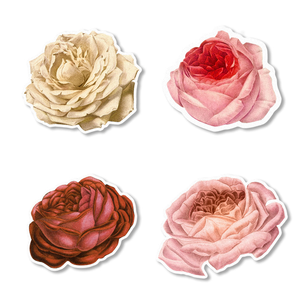Watercolor Roses Edible Cupcake Toppers