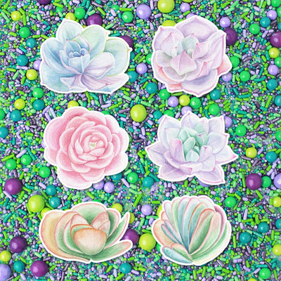 Succulents Edible Cupcake Toppers